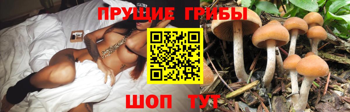 Псилоцибиновые грибы мухоморы  Вход с VPN  Соликамск  Псилоцибиновые грибы мицелий 
