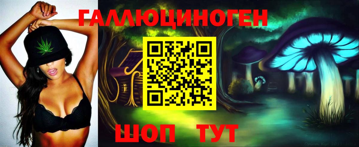 Псилоцибиновые грибы Psilocybine cubensis Соликамск
